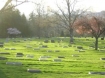 cemetery